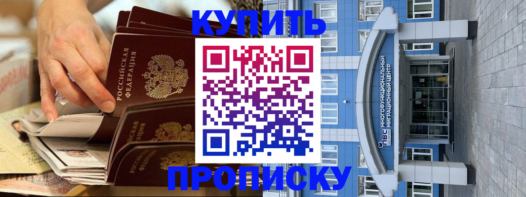 прописка гарантия в Звенигово